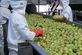 Осторожно! Эти 10 продуктов из Китая содержат пестициды и химические вещества вызывающие рак! Осторожно! Эти 10 продуктов из Китая содержат пестициды и химические вещества вызывающие рак!